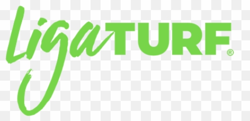 Artificial Football Pitch Construction And Maintenance Polytan - Language png