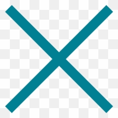 Eleanor Roosevelt Ing - Math Multiplication Symbol Png