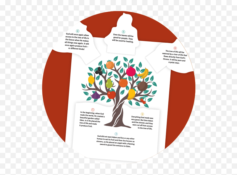 Flip The Flap Tree Of Life - Life Hope U0026 Truth Language Png,Wisdom Tree Pc Icon