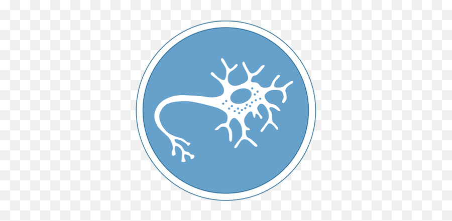 A1 Neural Development Bioninja - Dot Png,Neurons Icon