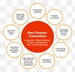 Rare Diseases Syneos Health - Dot png