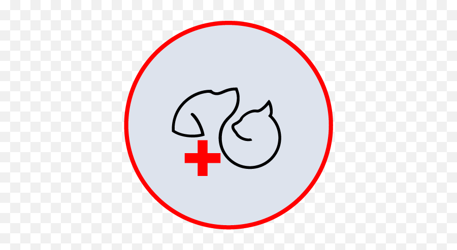 Bundaberg Vet Emergency Animal Hospital - Language Png,Blood Fury Icon