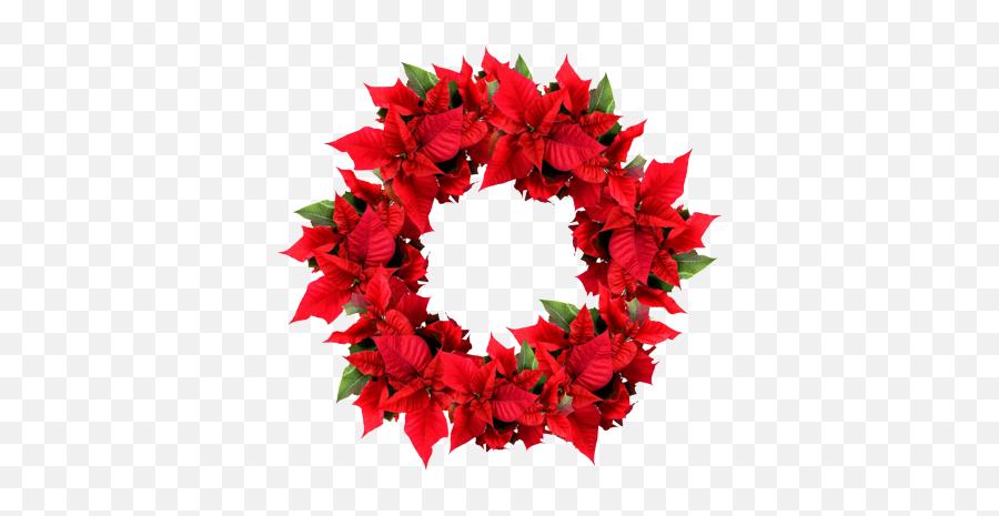 Holiday Wreath Png - Red Christmas Wreath Png,Christmas Reef Png