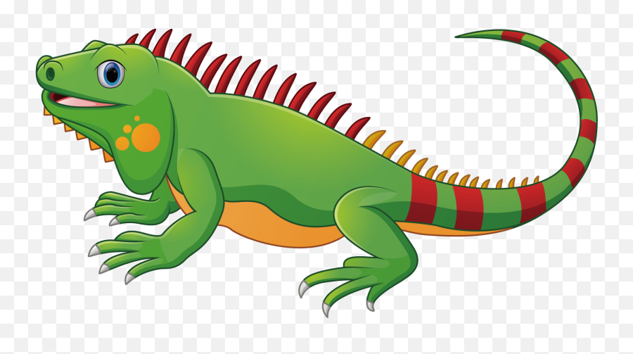 Lizard Chameleons Green Iguana - Iguana Png,Iguana Png