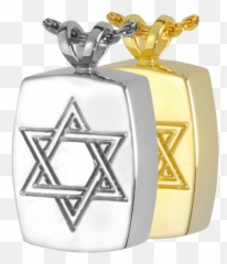 Download Hd Star Of David Urn Necklace - Mount Zonah Medical Center Logo Png,Star Of David Png