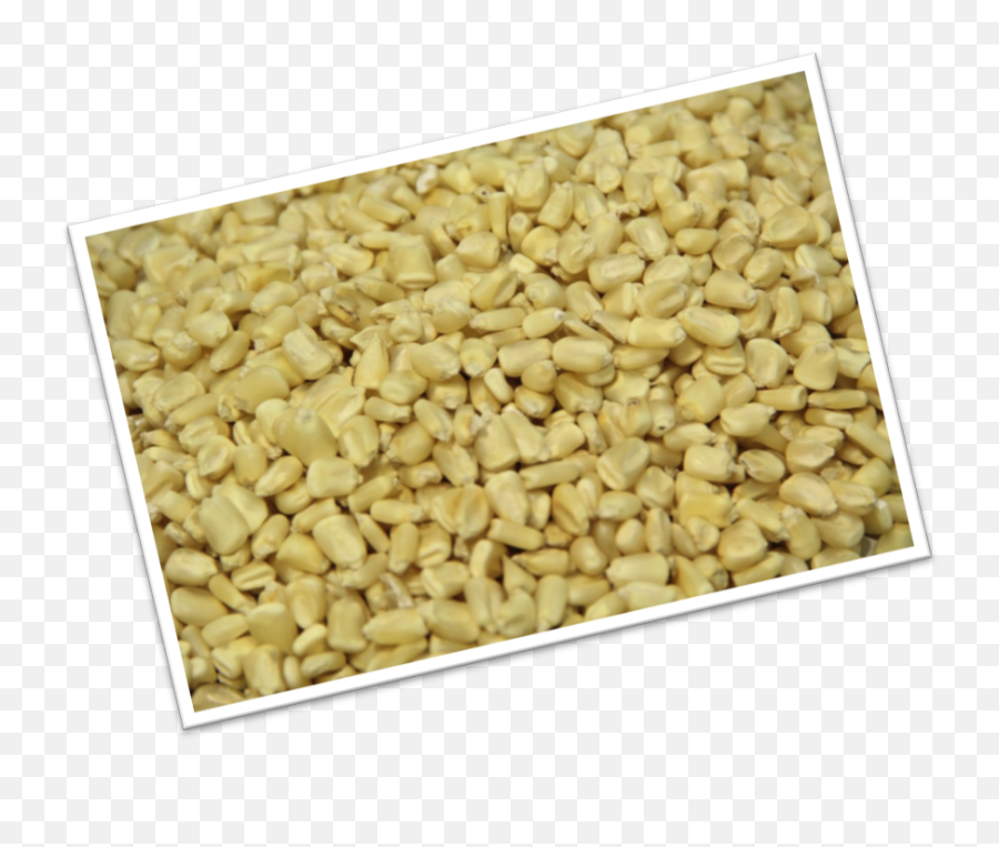 Download Gravel - Gravel Png,Gravel Png