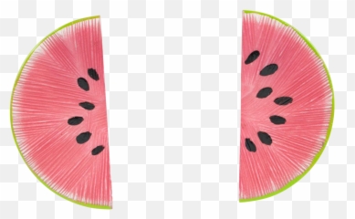 Pink Green Lucite Pierced Earrings Watermelon Slice - Watermelon Png,Watermelon Slice Png