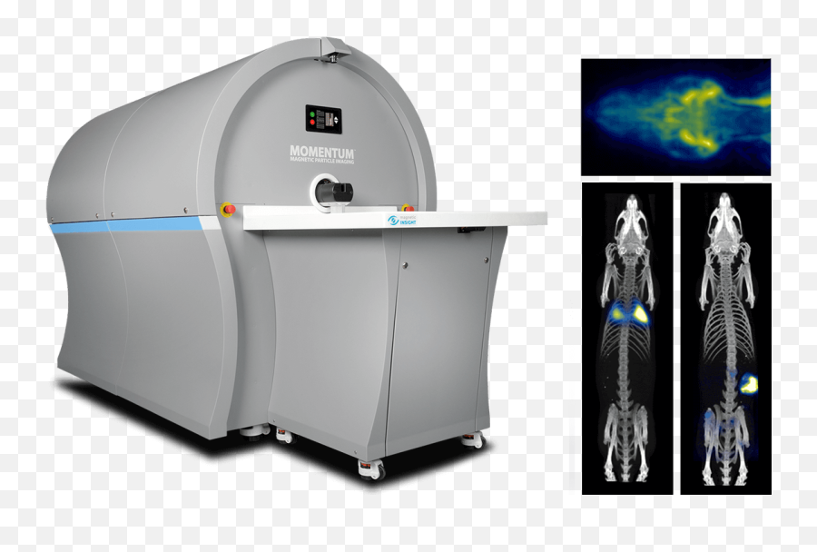 Neurovascular Perfusion And Blood Pool - Magnetic Particle Imaging Png,Blood Pool Png