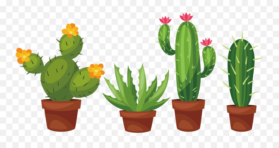 Potted Cactus Png Transparent Files - Cactus With Flower Drawing,Cactus Clipart Png