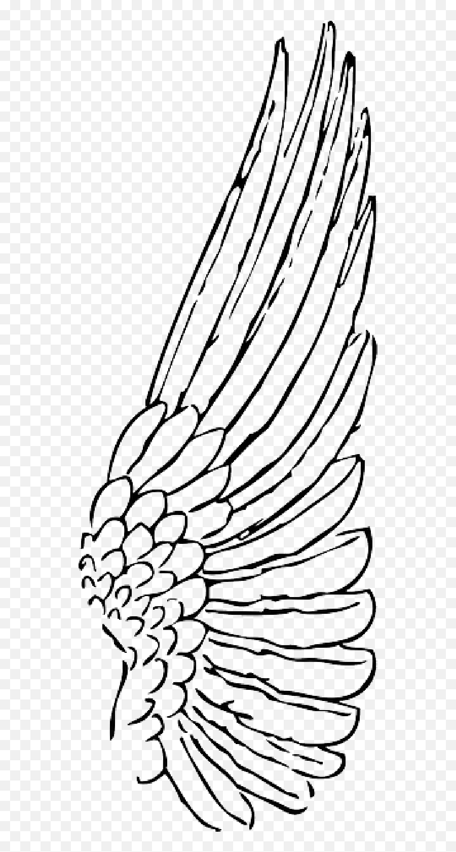 Outline Feather Angel Birds Bird Wing Wings Public Domain - Angel Wings Side View Drawing Png,Wing Png