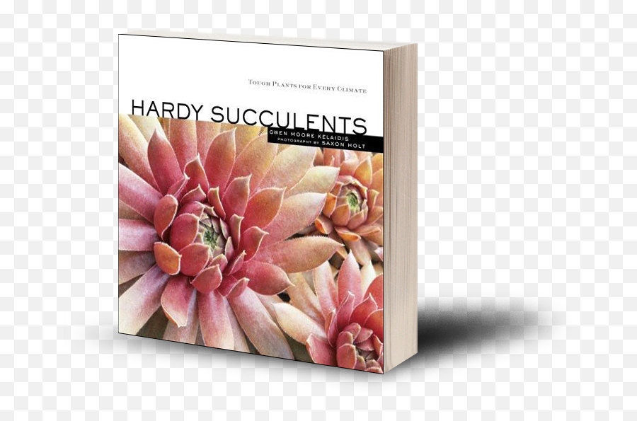 Download Hd 95 Add To Cart - Hardy Succulents Tough Plants Hardy Tough Plants For Every Climate Png,Succulents Png