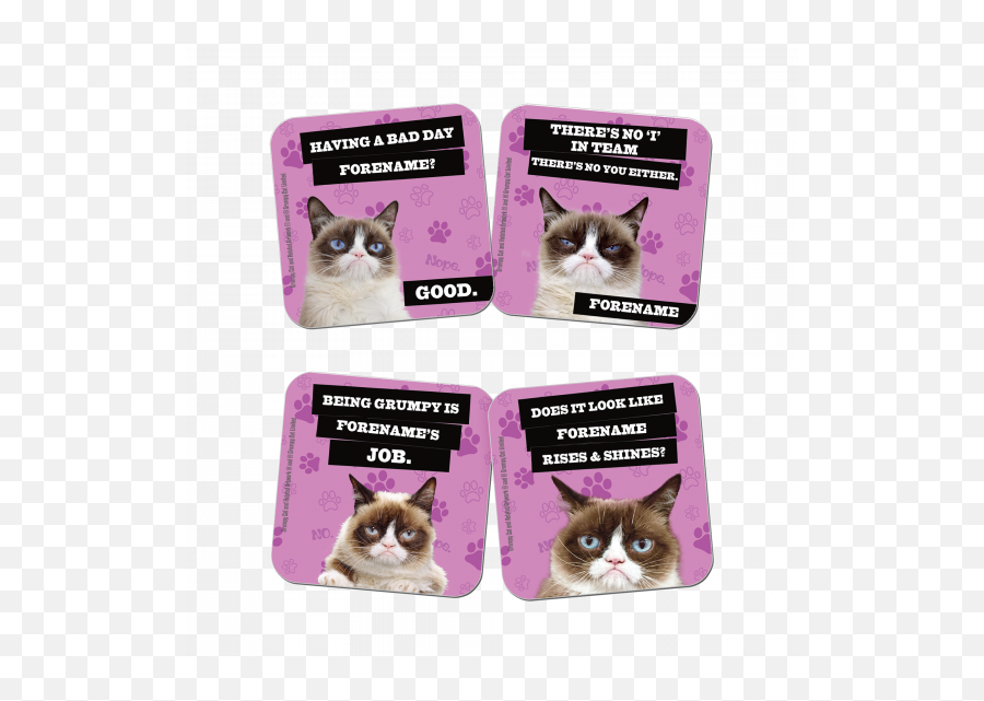 Grumpy Cat Pink Coasters - Kitten Png,Grumpy Cat Png