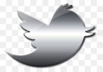 Logo Social Media Computer Icons Silver Image - twitter bird Twitter Png