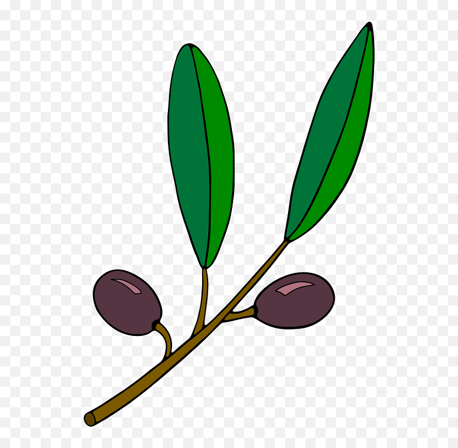 Branch - Olive Branch Clipart Png Download Original Size Olive Branch Clip Art,Branch Clipart Png