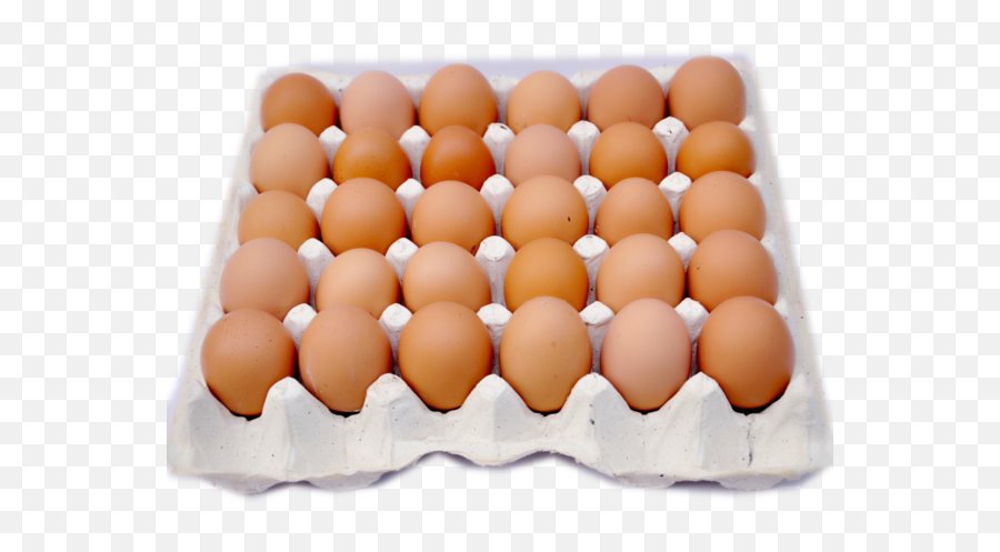 Eggs Carton Png - Many Eggs In A Crate,Eggs Png