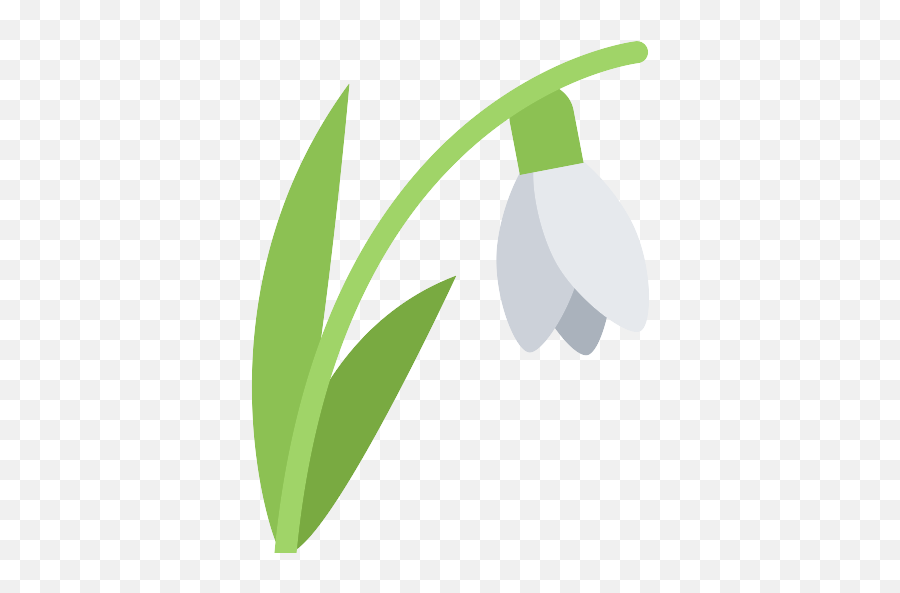 Daffodil Vector Svg Icon - Snowdrop Png,Daffodil Png