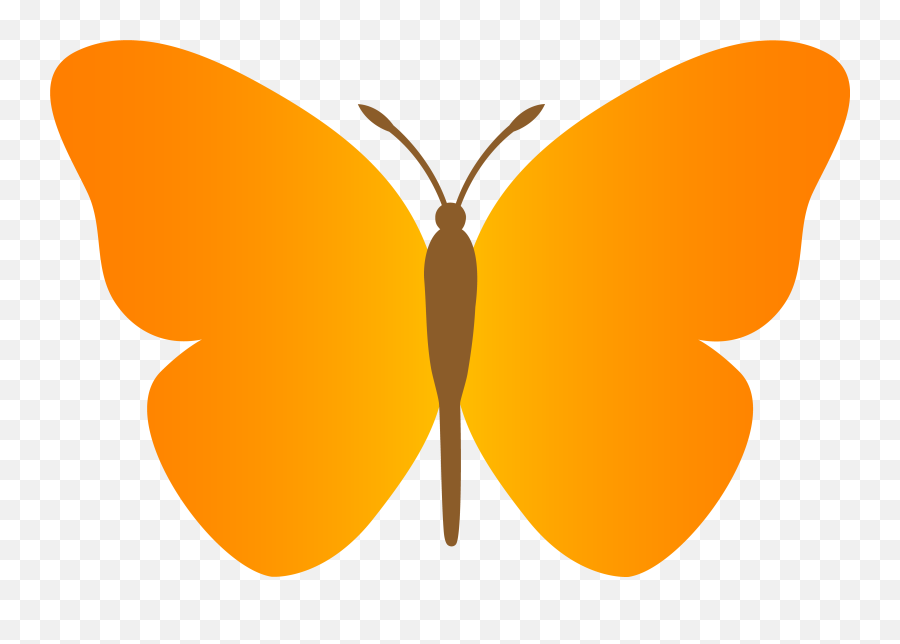 Butterfly Jpg Free Png Files - Orange Butterfly Clipart,Butterflies Transparent