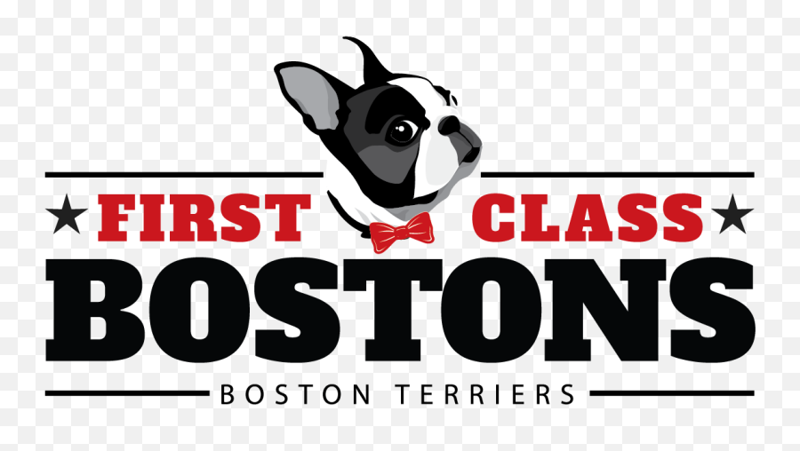 Home - Language Png,Boston Terrier Png