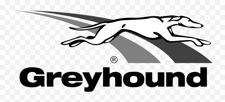 Ada Round - Up Safeway Lyft And Pokémon Face Accessibility Greyhound Logo Png,Lyft Logo Transparent