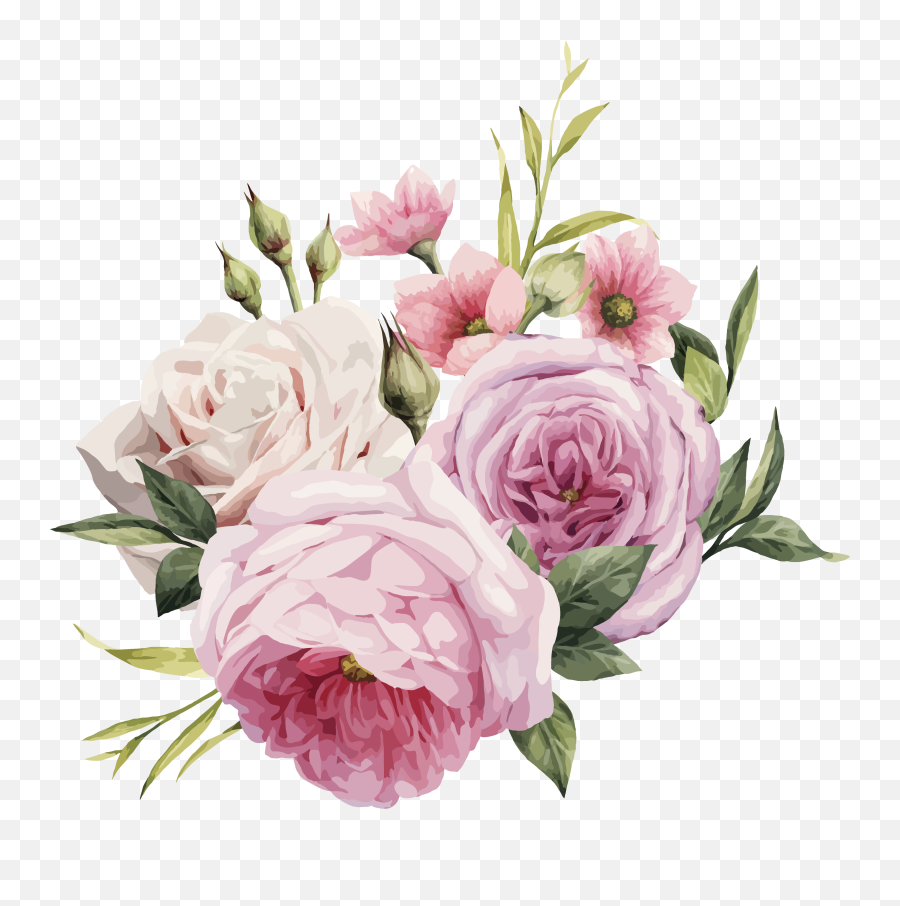 Pink Flowers Rose Color - Vector Pink Rose Png,Rose Vector Png