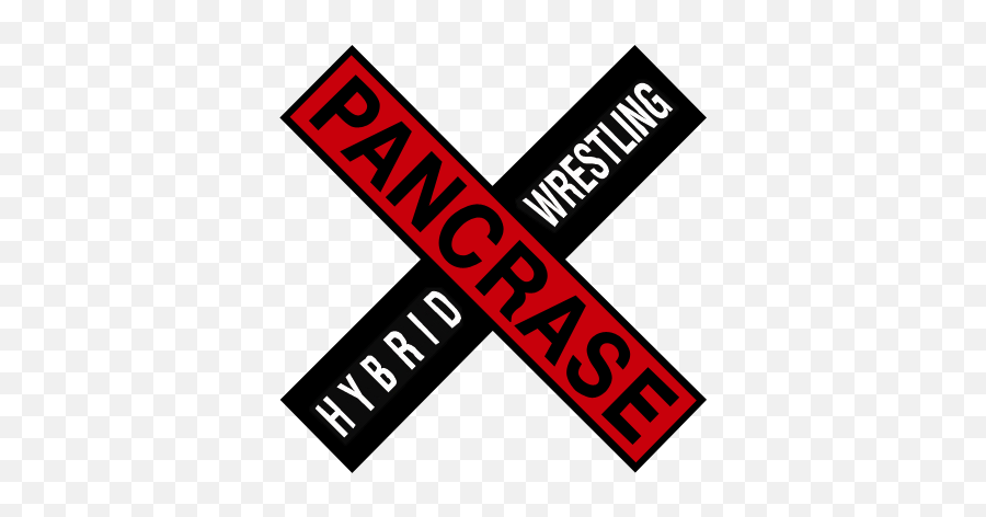 The History Of Mma Origins In Japanese Pro Wrestling By - Wok Express Churchgate Png,New Japan Pro Wrestling Logo