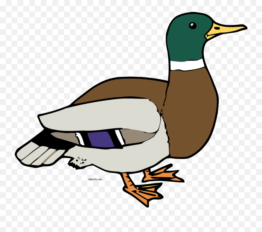 Clipart Duck Png - Clip Art Duck,Duck Clipart Png