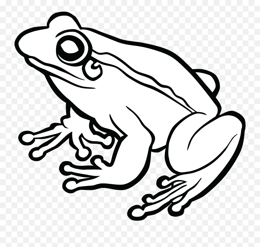 Library Of Frog And Rose Svg Royalty - Frog Images Black And White Png,Transparent Frog