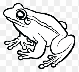 Library Of Frog And Rose Svg Royalty - Images Black White png