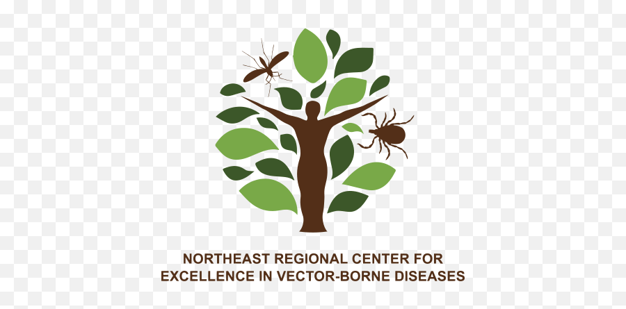 Nevbd Northeast Regional Center For Excellence In Vector - Northeast Regional Center For Excellence In Vector Borne Diseases Png,Tick Vector Icon