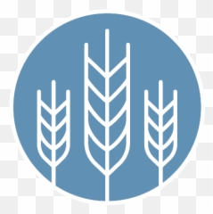 Food Security Nazarene Compassionate Ministries - Portable Network Graphics Png,Hunger Icon