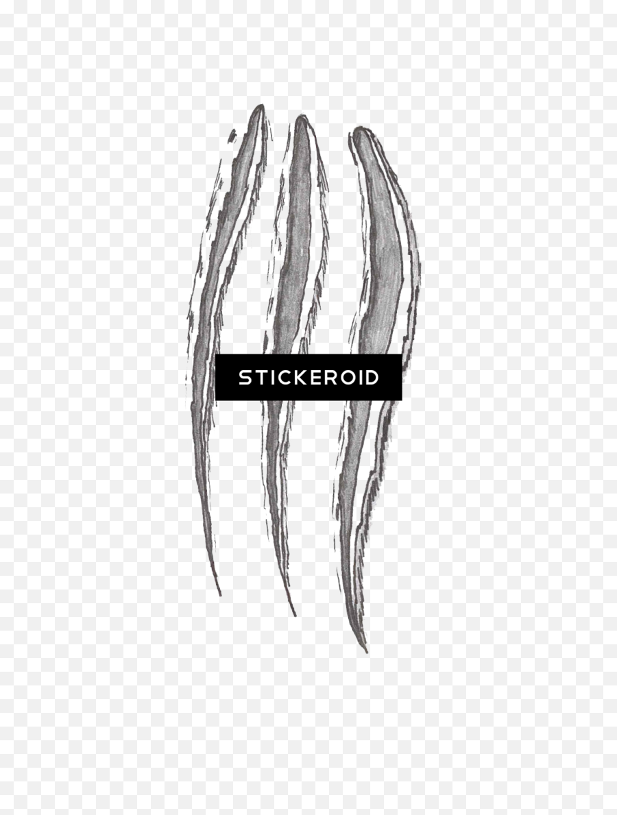 Claw Scratch Png Images Collection For Free Download - Sketch,White Claw Png