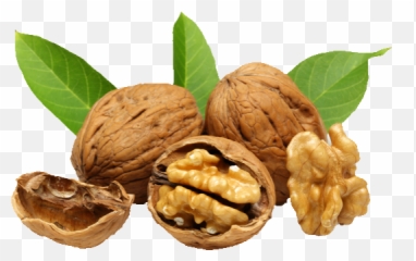 Walnut Png Image - Walnuts Png,Walnut Transparent