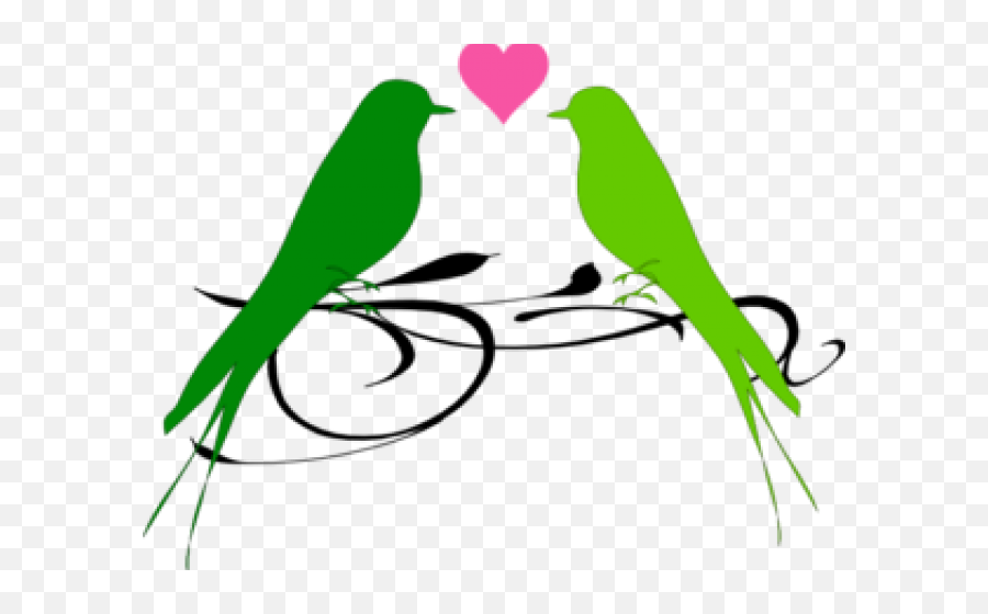 Library Of Lovebird Picture Png Files - Transparent Love Birds Png,Parrot Transparent Background