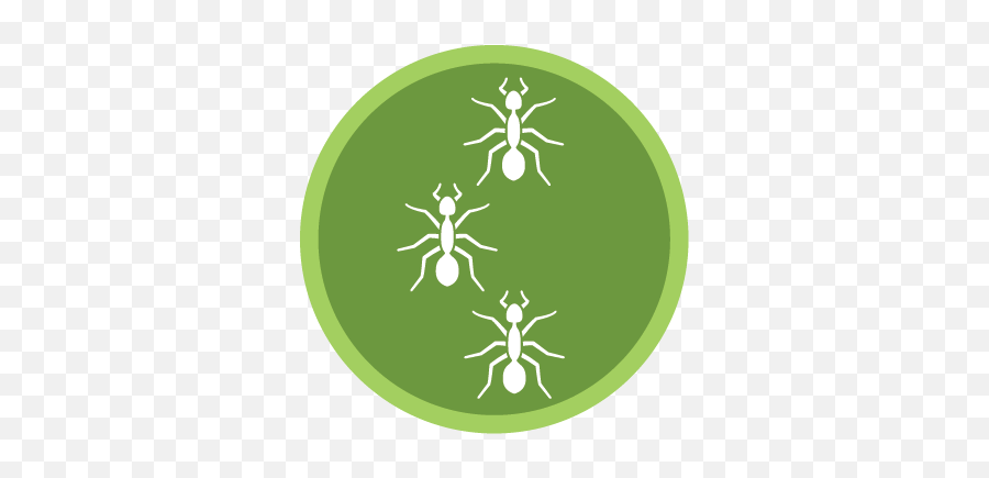 Green Pest Services U2014 Control With Guys - Parasitism Png,Cockroach Icon