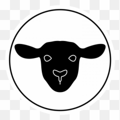 Portfolio - Sheep png