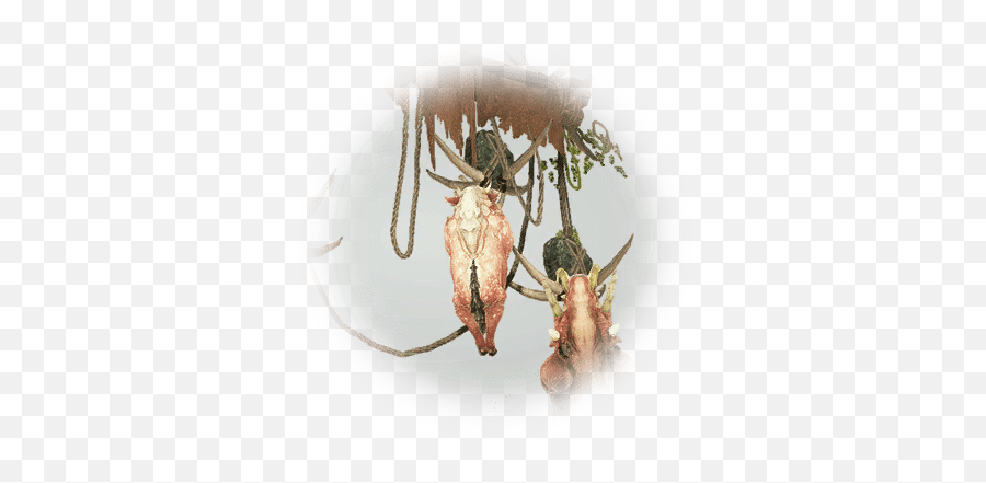 Cyclops Food Drying Stand - Bdo Codex Parasitism Png,Cyclops Icon