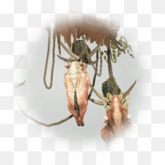 Cyclops Food Drying Stand - Bdo Codex Parasitism Png,Cyclops Icon