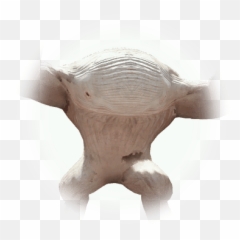 Mutant Glutoni - BDO Codex Cave Mobs Bdo png
