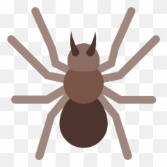 Download This Logo Is Of An Arachnid Or Spider Png