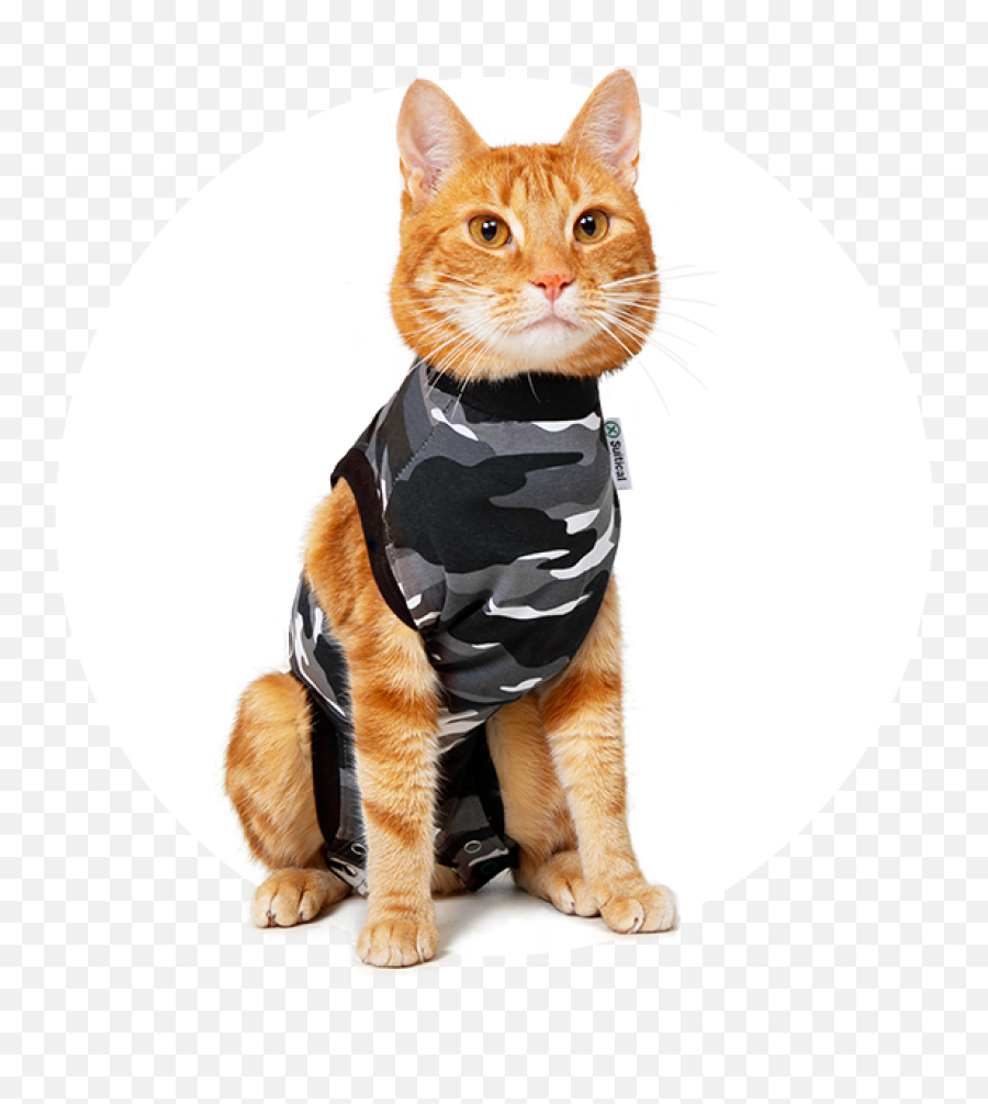 Recovery Suit Cat - Suitical Png,Cat Icon Base