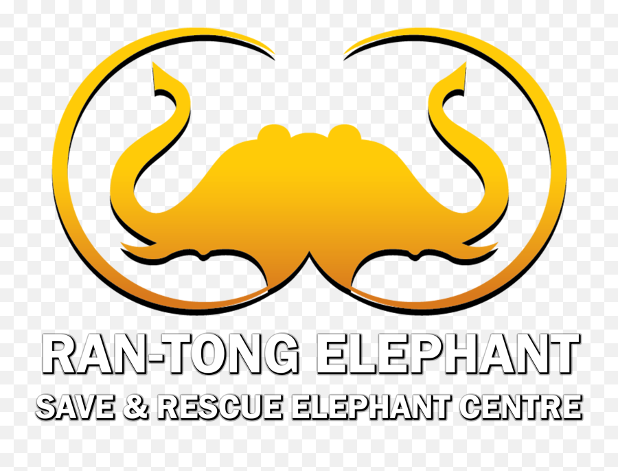 Home - Rantong Elephant Png,Elephant Logo Brand