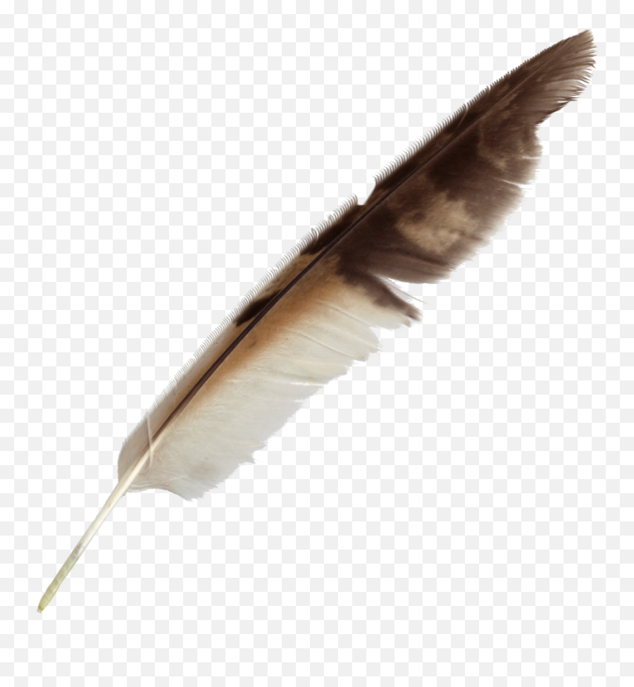 Transparent Background Clipart Quill - Transparent Background Feather Pen Png,Pen Transparent