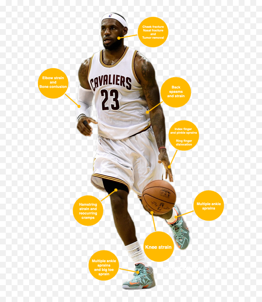 Injury History Of Lebron James - Cleveland Cavaliers Png,King James Logo