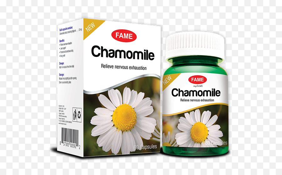 Chamomile - Fame Pharmaceuticals Industry Coltd Fame Myanmar Products Png,Chamomile Png