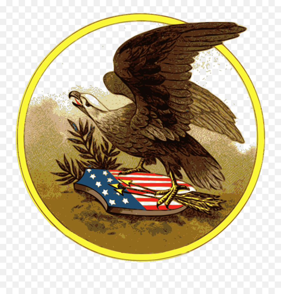 Download Free Png American Eagle - Dlpngcom Us Eagle Holding Shield Art,Patriotic Logos
