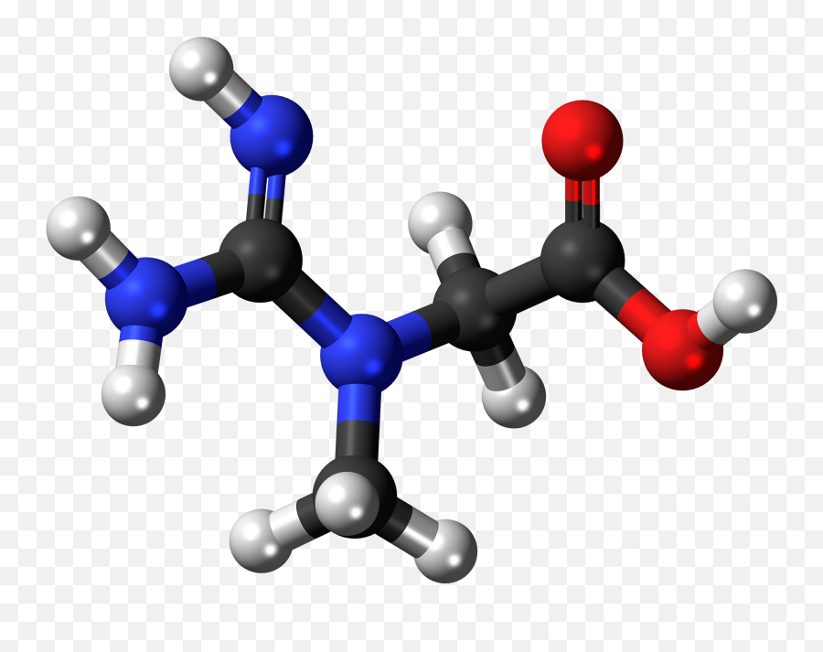 Creatine Molecule Ball - Acid Png,Molecule Png