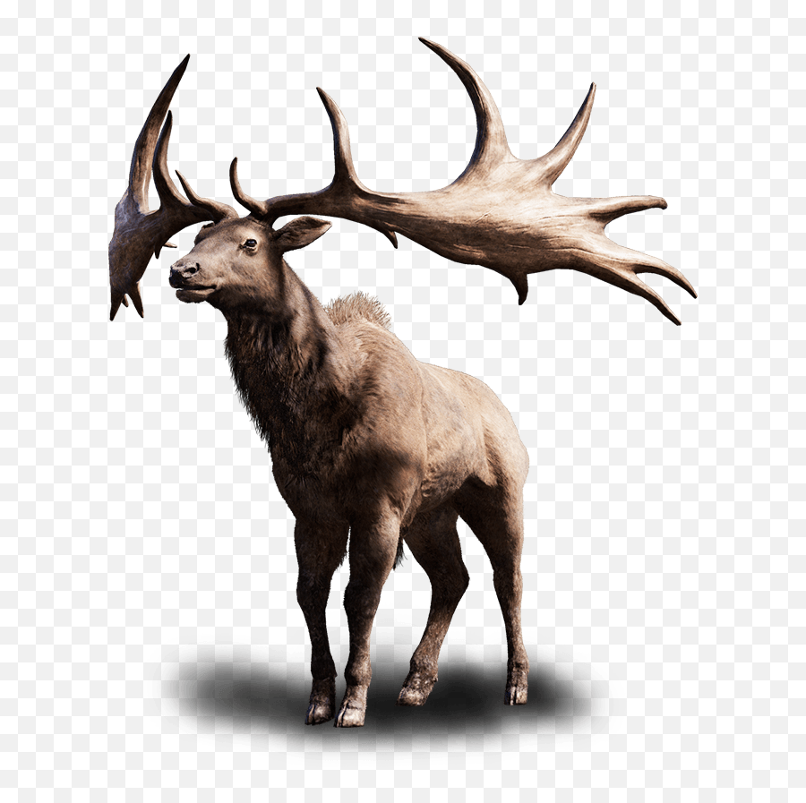 Elk Png 1 Image - Far Cry Primal Tall Elk,Elk Png