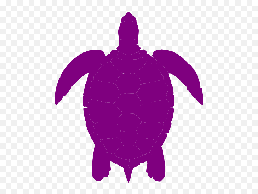 Purple Turtle Png - Sea Turtle Clip Art Transparent Sea Turtle Clip Art,Sea Turtle Png