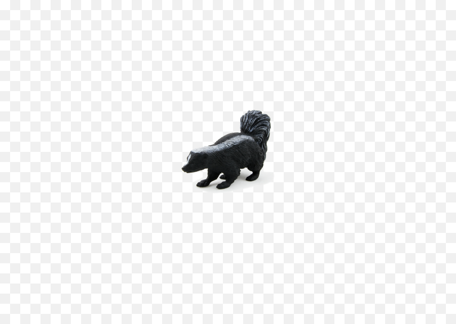 Skunk The Ddz Store - Your One Stop Shop For Toys Companion Dog Png,Skunk Transparent