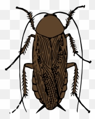 Clipart - Cockroach Black And White Png Download Full Cockroach Smoking A Roach,Cockroach Png